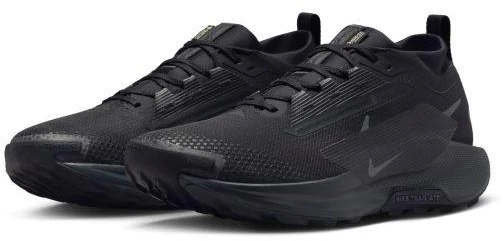 Nike Moterims REACTX PEGASUS TRAIL 5 GTX (FQ0912-002)