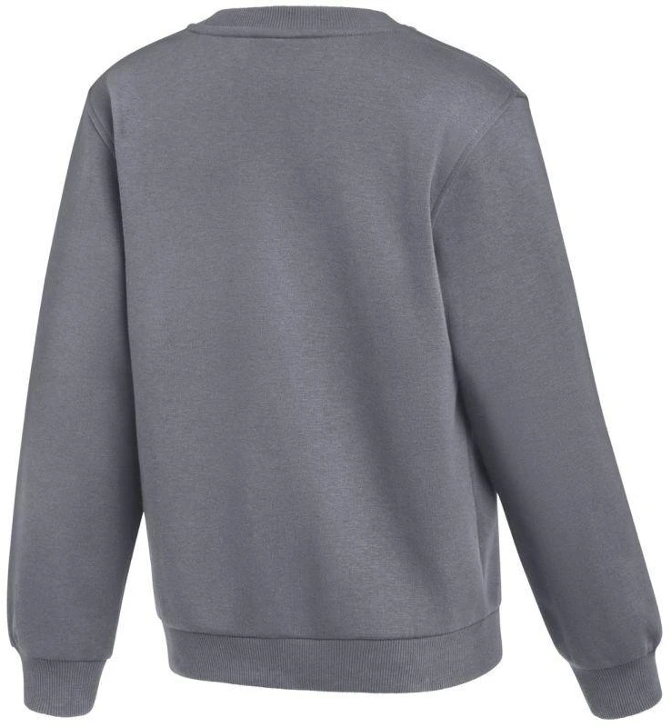 Nike Park 26 Fleece apvalios iškirptės džemperis vaikams, pilkas IB1188 071