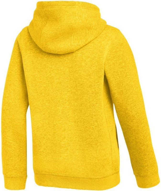 Nike Park 26 Fleece džemperis su gobtuvu vaikams Geltonas IB1226 719