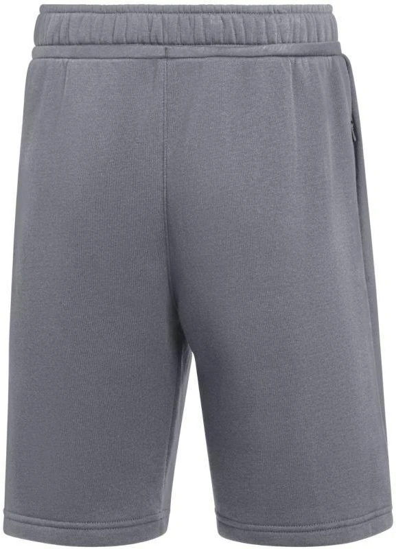 Nike Park 26 Fleece Vaikams Šortai Pilki IB1242 071
