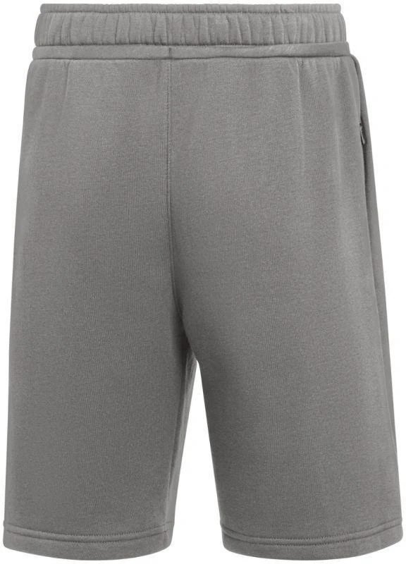 Nike Park 26 Fleece vaikiški šortai pilki IB1242 063