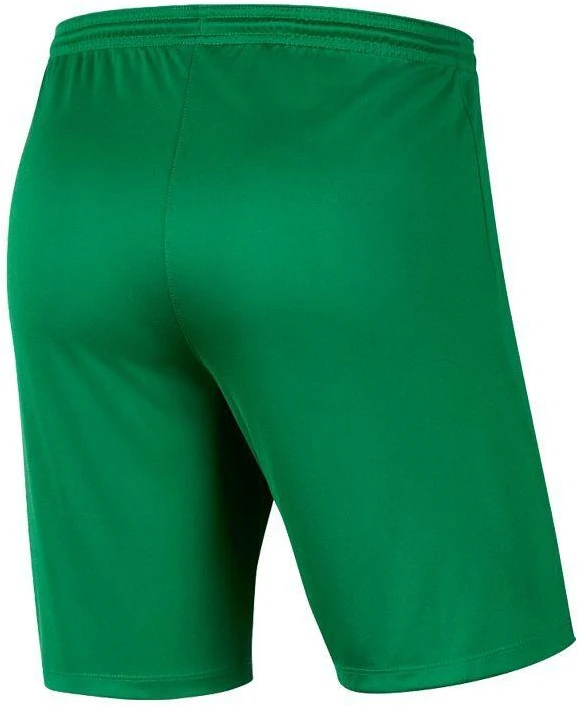 Nike Park III Knit Jr BV6865-302 šortai