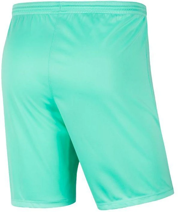 Nike Park III Knit Jr BV6865-354 Šortai