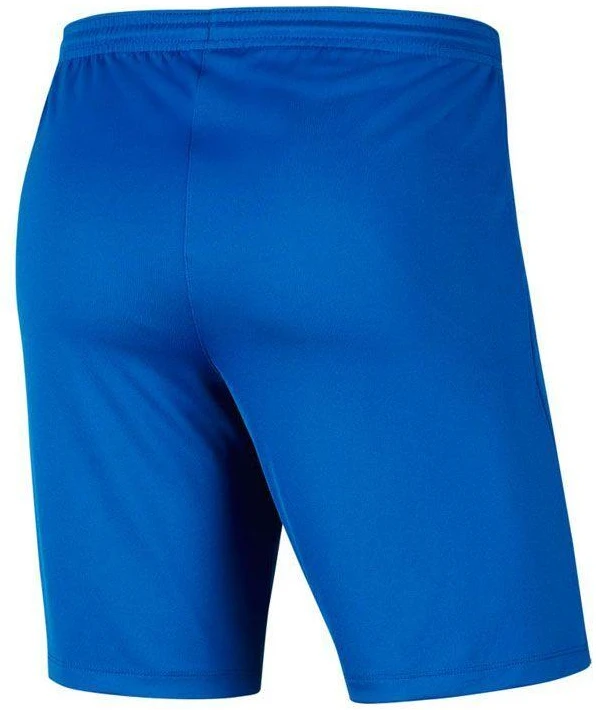 Nike Park III Knit Jr BV6865-463 Šortai