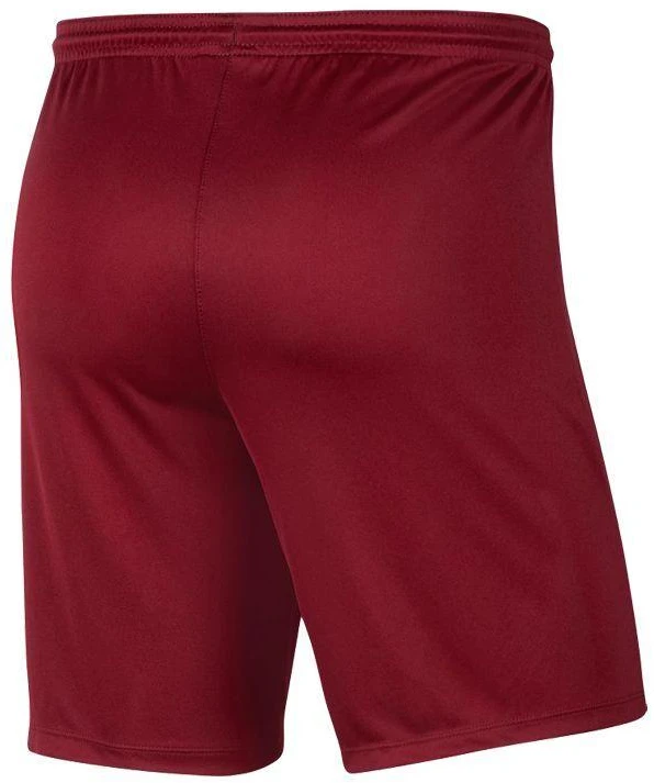 Nike Park III Knit Jr BV6865-677 Šortai