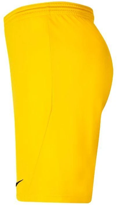 Nike Park III Knit Jr BV6865-719 Šortai