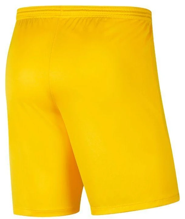Nike Park III Knit Jr BV6865-719 Šortai