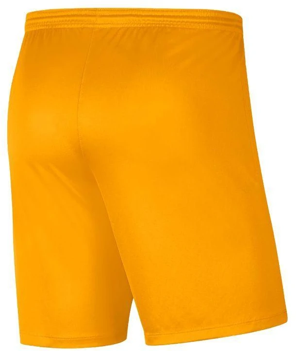 Nike Park III Knit Jr BV6865-739 Šortai