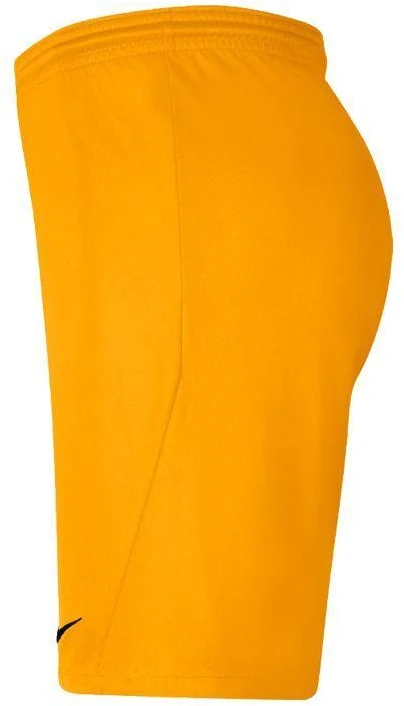 Nike Park III Knit Jr BV6865-739 Šortai