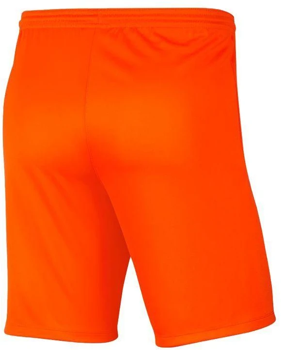 Nike Park III Knit Jr BV6865-819 Šortai