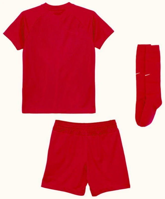 Nike Park VIII HV8260-657 rinkinys