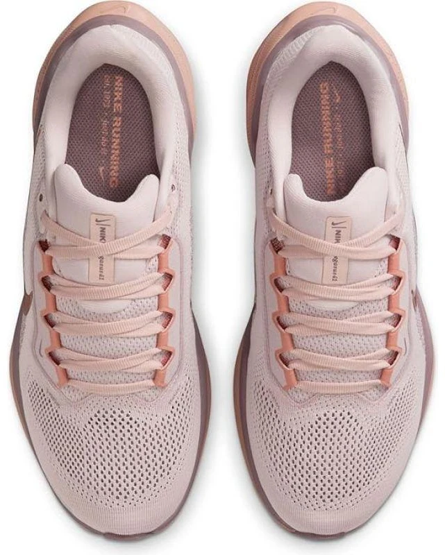 NIKE PEGASUS 41 (FD2723-604)