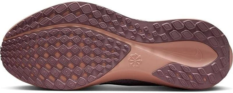 NIKE PEGASUS 41 (FD2723-604)
