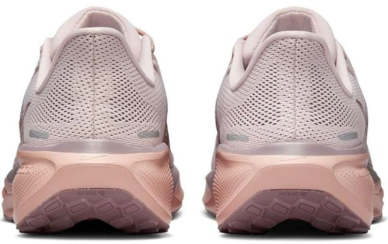 NIKE PEGASUS 41 (FD2723-604)