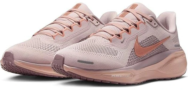 NIKE PEGASUS 41 (FD2723-604)