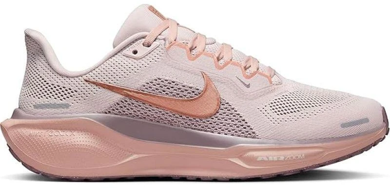 NIKE PEGASUS 41 (FD2723-604)