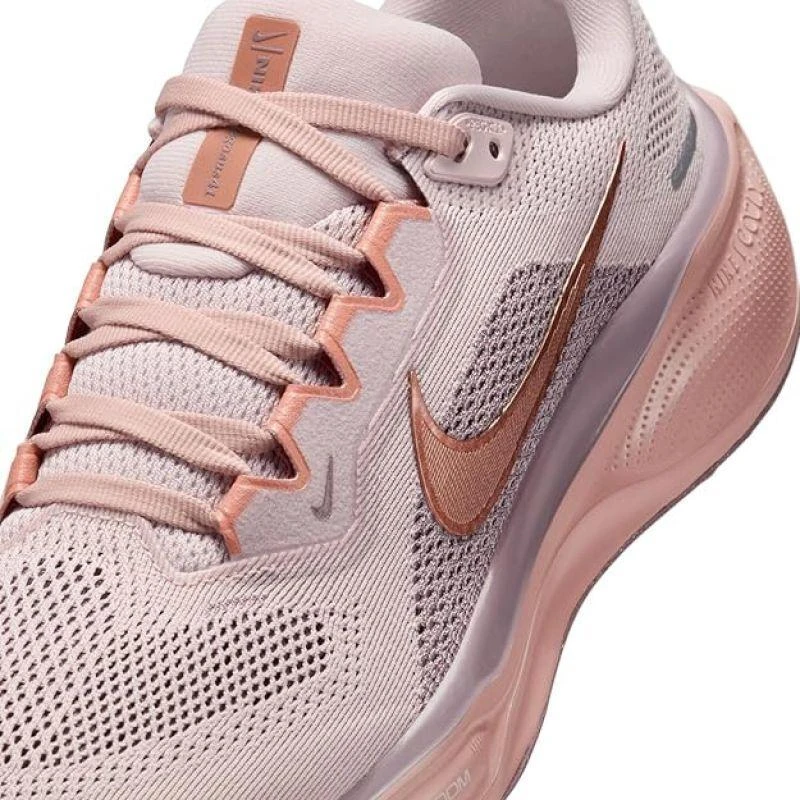NIKE PEGASUS 41 (FD2723-604)