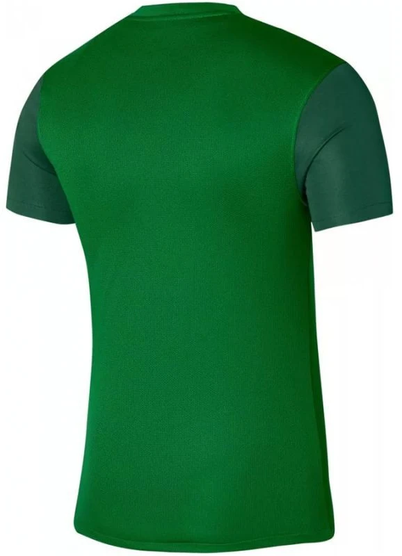 Nike Trophy V JSY M marškinėliai DR0933 302