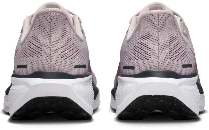 NIKE W PEGASUS 41 (FD2723-014)