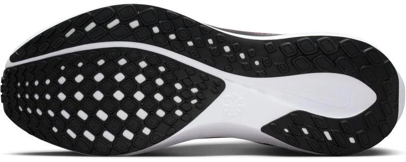 NIKE W PEGASUS 41 (FD2723-014)
