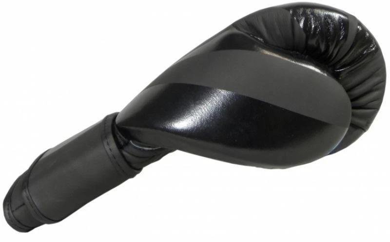 Odines bokso pirštinės Masters RBT-Matinis 12 oz 01333-MATT12