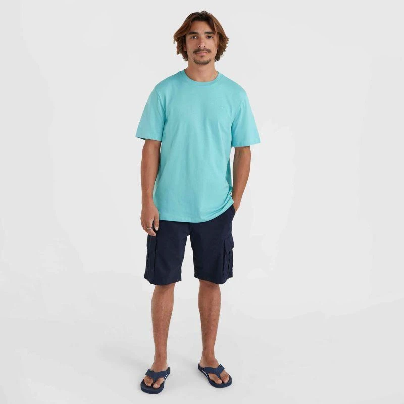 O'Neill Essentials Chino Šortai M 92800613369