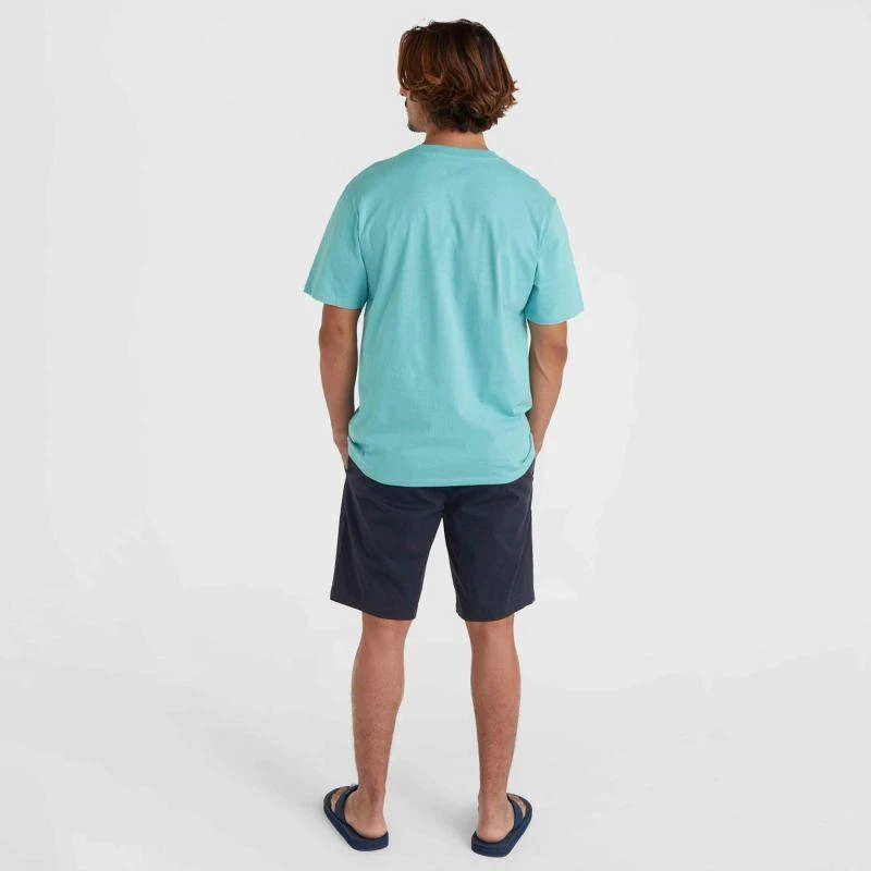 O'Neill Essentials Chino Šortai M 92800613369