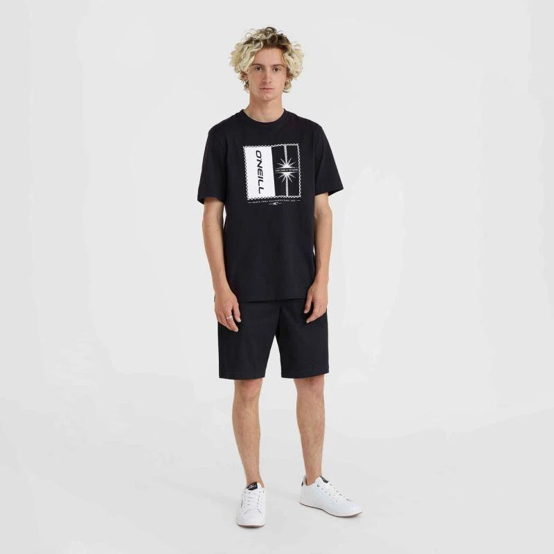 O'Neill Essentials Chino Šortai M 92800613380
