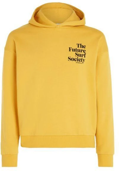 O'Neill Future Surf Society Hoody W 92800613435