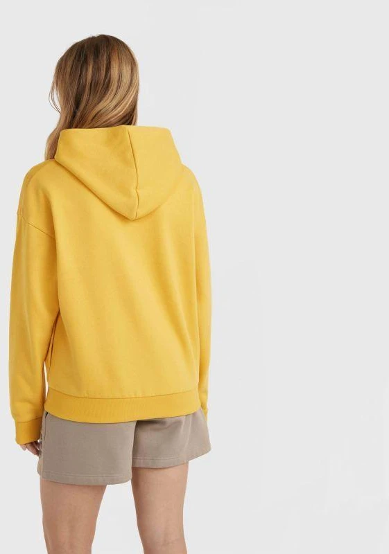 O'Neill Future Surf Society Hoody W 92800613435