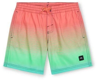 O'Neill Jack Cali Gradient 14'' maudymosi šortai Jr 92800613570