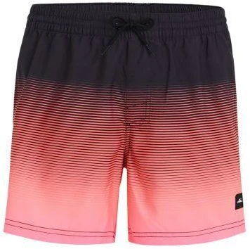 O'Neill Jack Cali Gradient 15'' maudymosi šortai M 92800613579