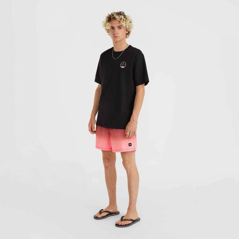 O'Neill Jack Cali Gradient 15'' maudymosi šortai M 92800613579
