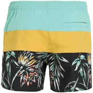 O'Neill Mix&Match Cali Block maudymosi šortai 15'' M 92800613816