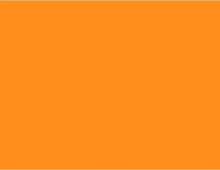 Oranžinė staltiesė – Šventės dekoracija