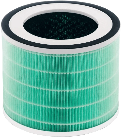 Oro valytuvo filtras Zelmer ZPU5500