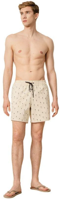 Outhorn M Swim Shorts OTHSS23UBDSM038 90S