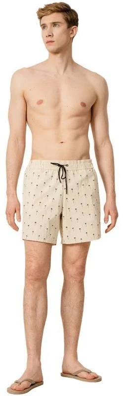 Outhorn M Swim Shorts OTHSS23UBDSM038 90S