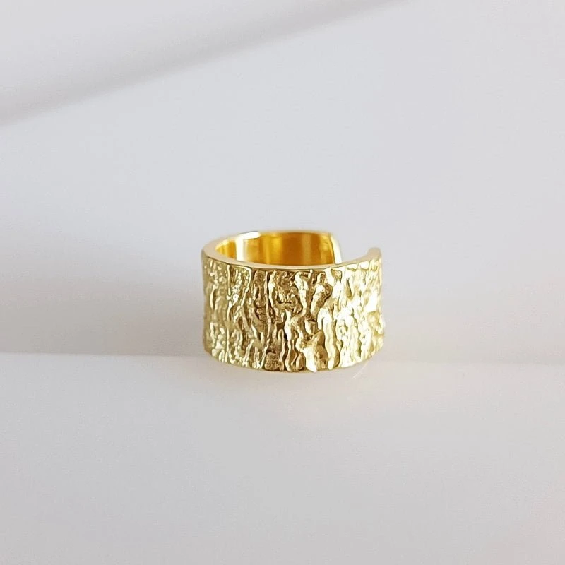 Kremzlės auskaras Crust Gold