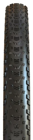 Padanga dviračiui Maxxis 29 x 2.25 Aspen TR