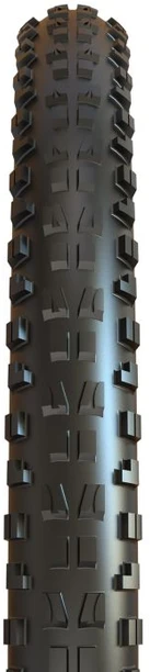 Padanga dviračiui Maxxis 29 x 2.5 Minion DHF TR