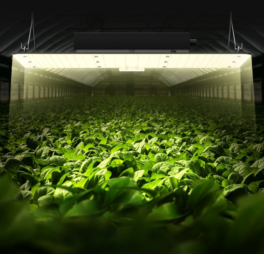 VEVOR LED auginimo lempa, 200W viso spektro