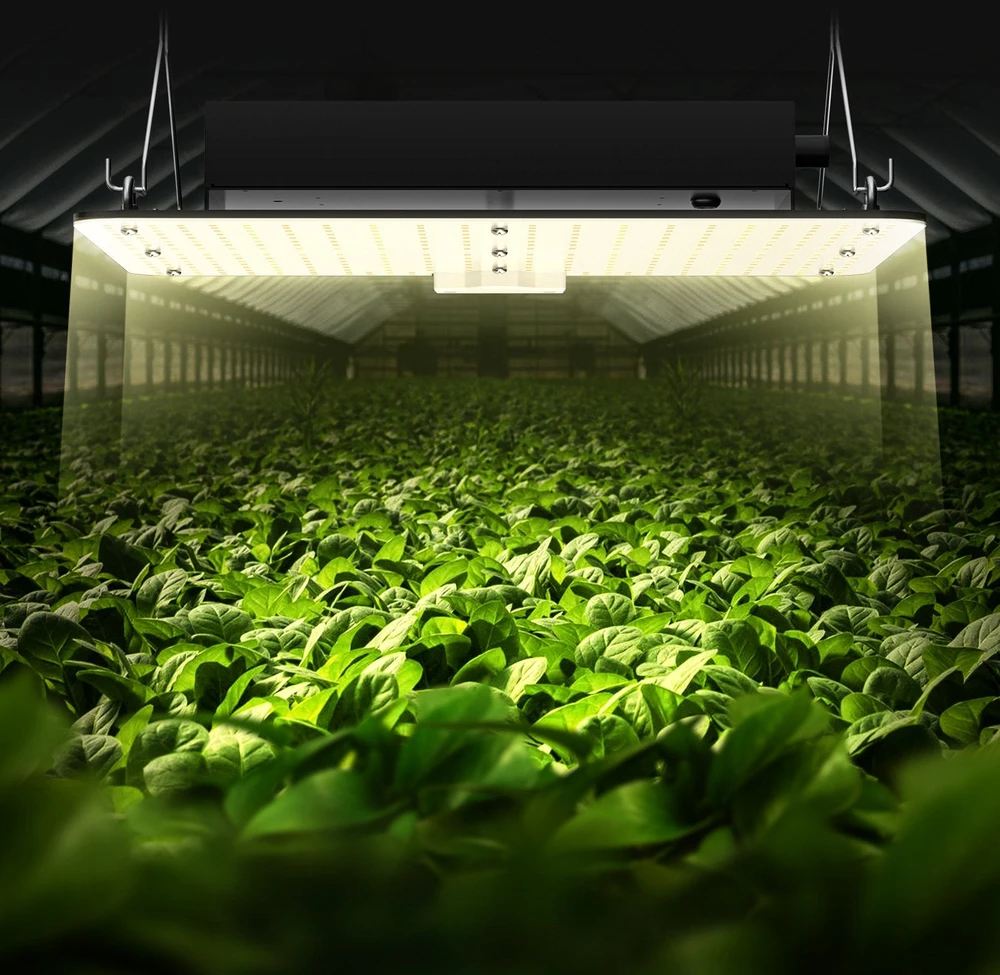 VEVOR LED augalų auginimo šviestuvas, 150W, reguliuojamas