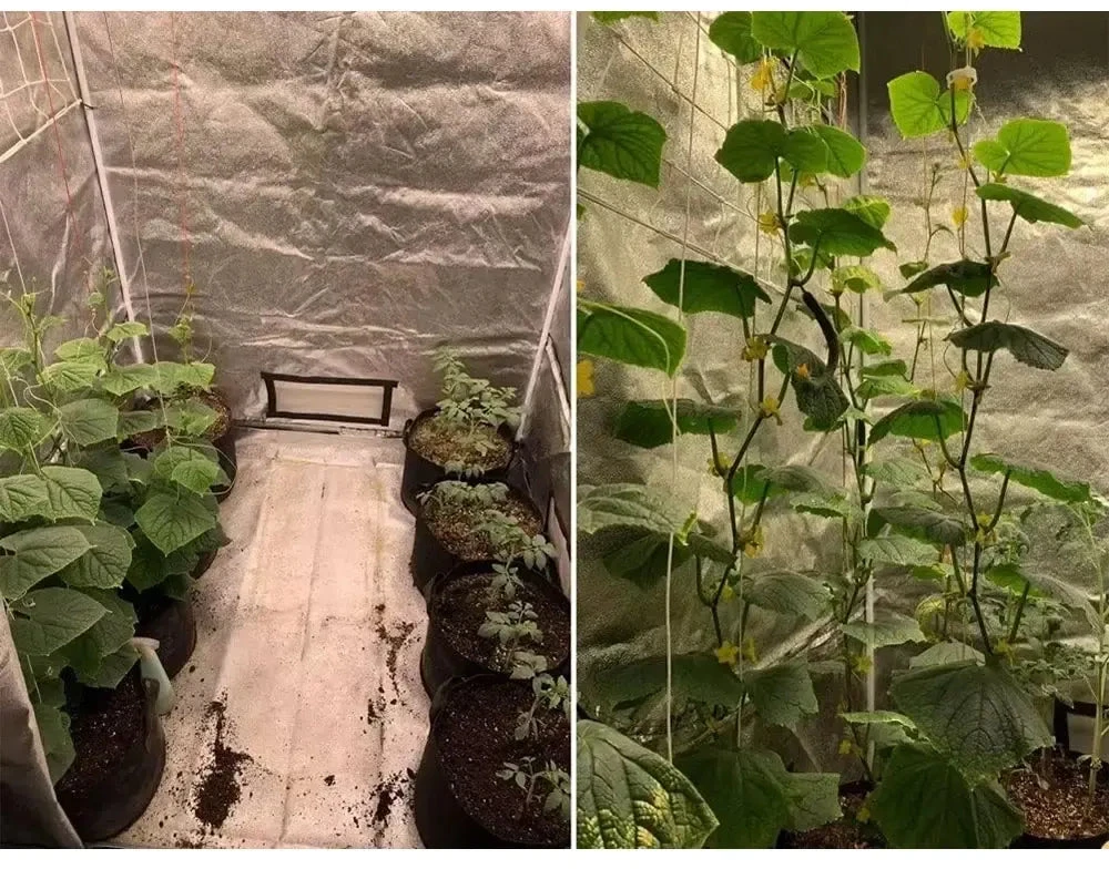 Palapinė Augalams "Grow tent"