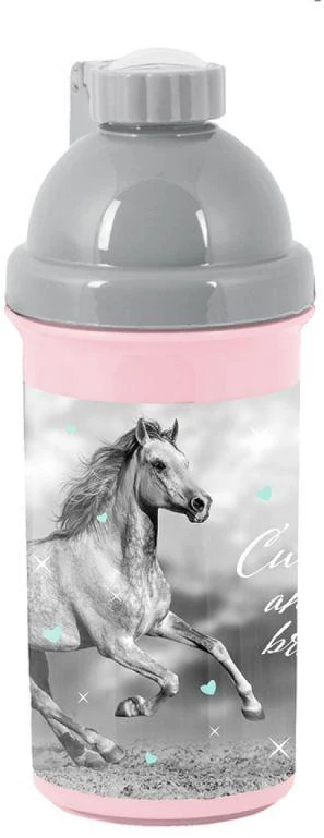 PASO Pilkas Arklys 550 ml Mokyklinė Gertuvė - PP23KO-3021
