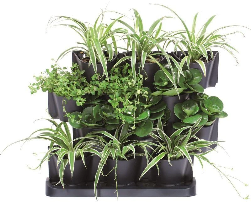 Vertikalūs sodo vazonai Prosperplast Cascade Garden IO2W600S-S433 55cm