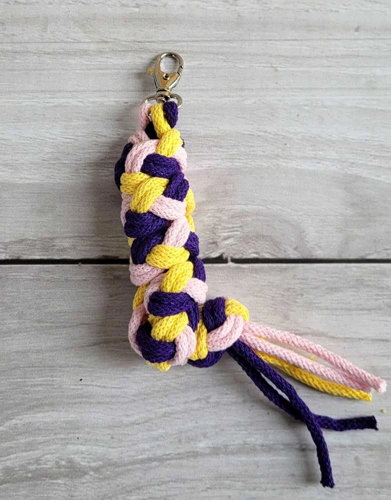 Pavadėlis hobi arkliukui, rožinis/violetinis/geltonas