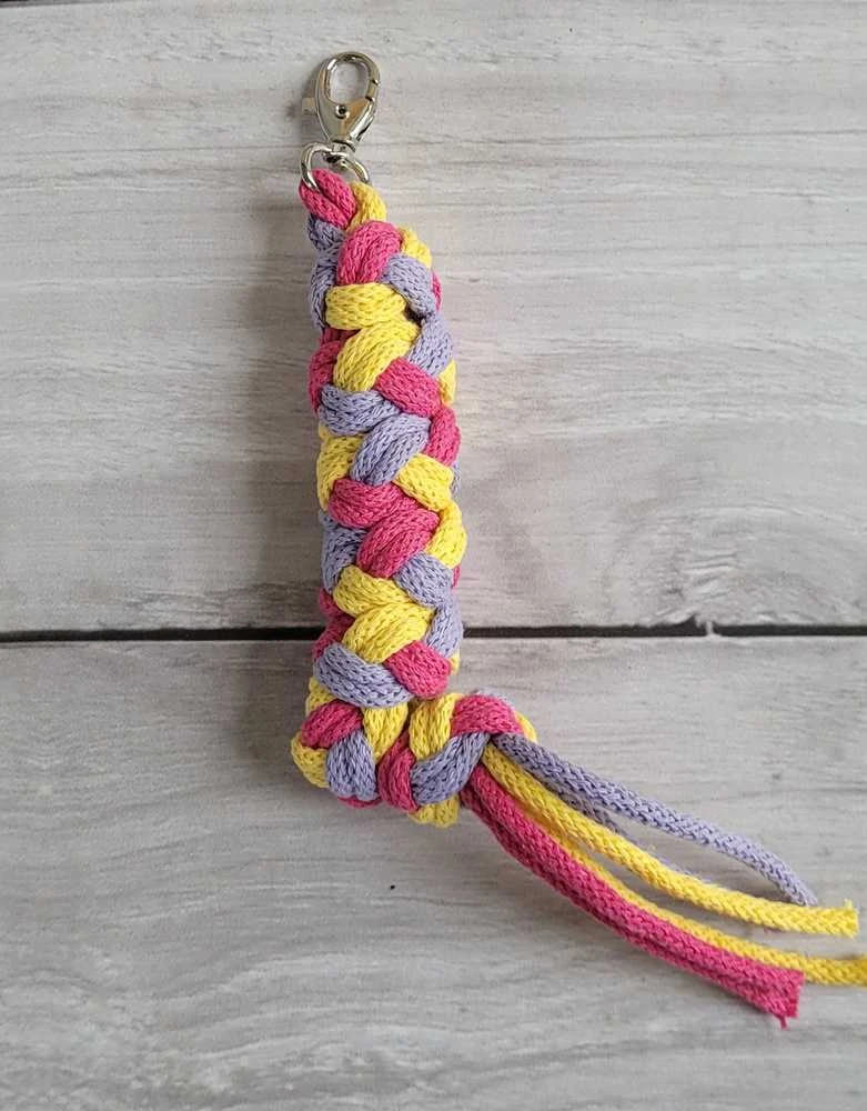 Pavadėlis hobi arkliukui, tamsiai rožinis/violetinis/geltonas