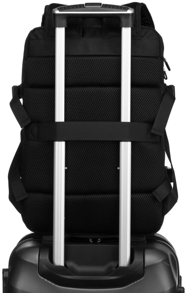 Peterson PTN 24421