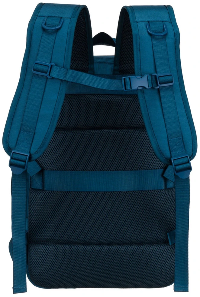Peterson PTN 24421